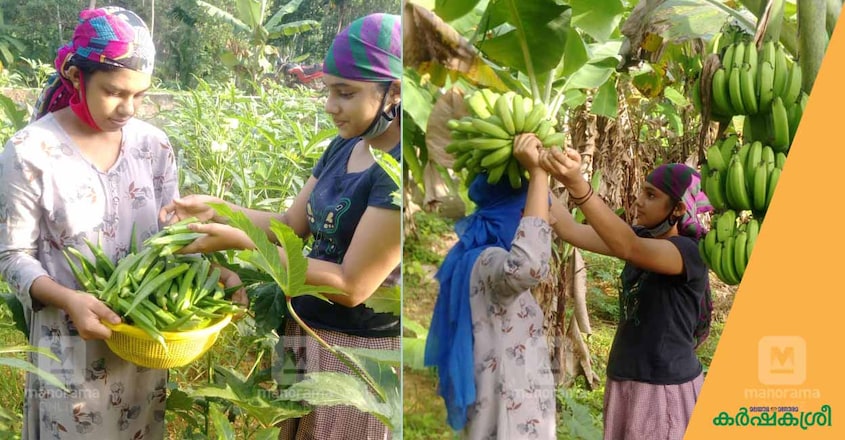 sisters-farming-2 sisters-farming-2