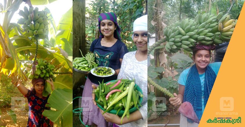 sisters-farming-3 sisters-farming-3
