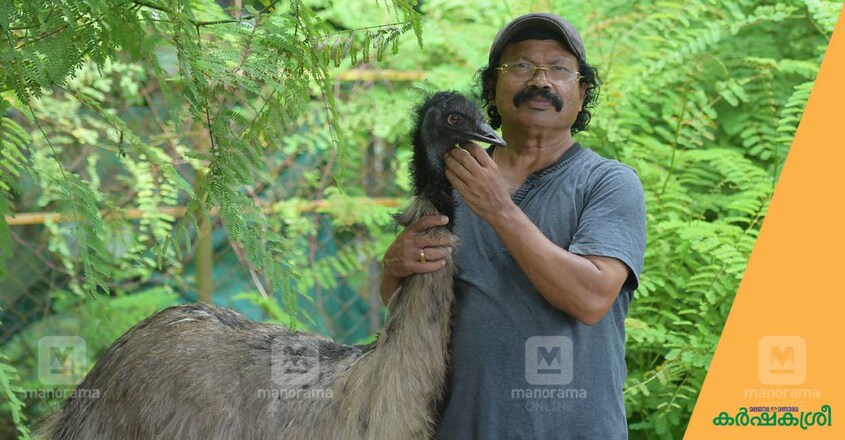 tomichan-mulakuppadam-1 tomichan-mulakuppadam-1
