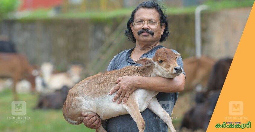 tomichan-mulakuppadam-4 tomichan-mulakuppadam-4