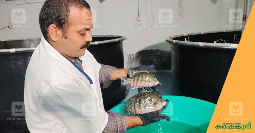 rgca-karimeen rgca-karimeen