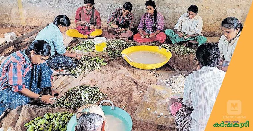 banana-flour-2 banana-flour-2