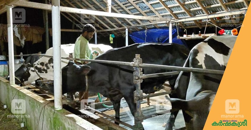 dairy-farm-lakshadweep-4 dairy-farm-lakshadweep-4