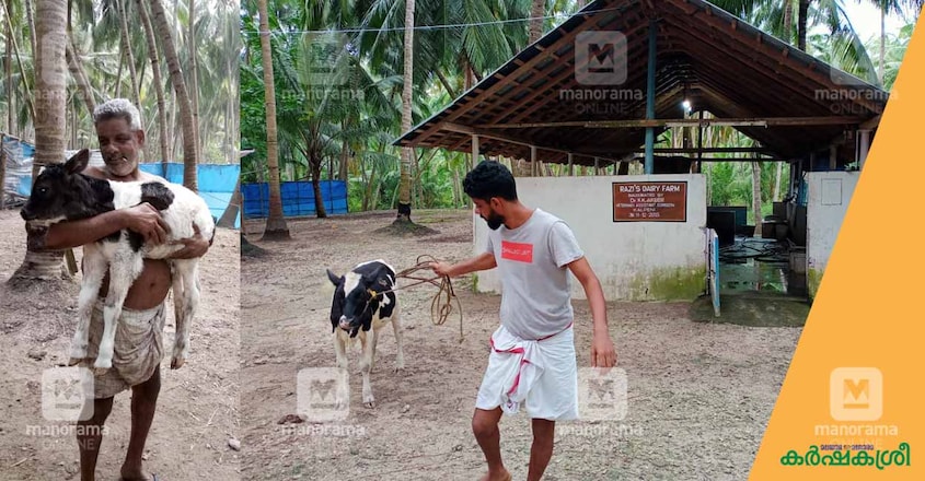 dairy-farm-lakshadweep-5 dairy-farm-lakshadweep-5