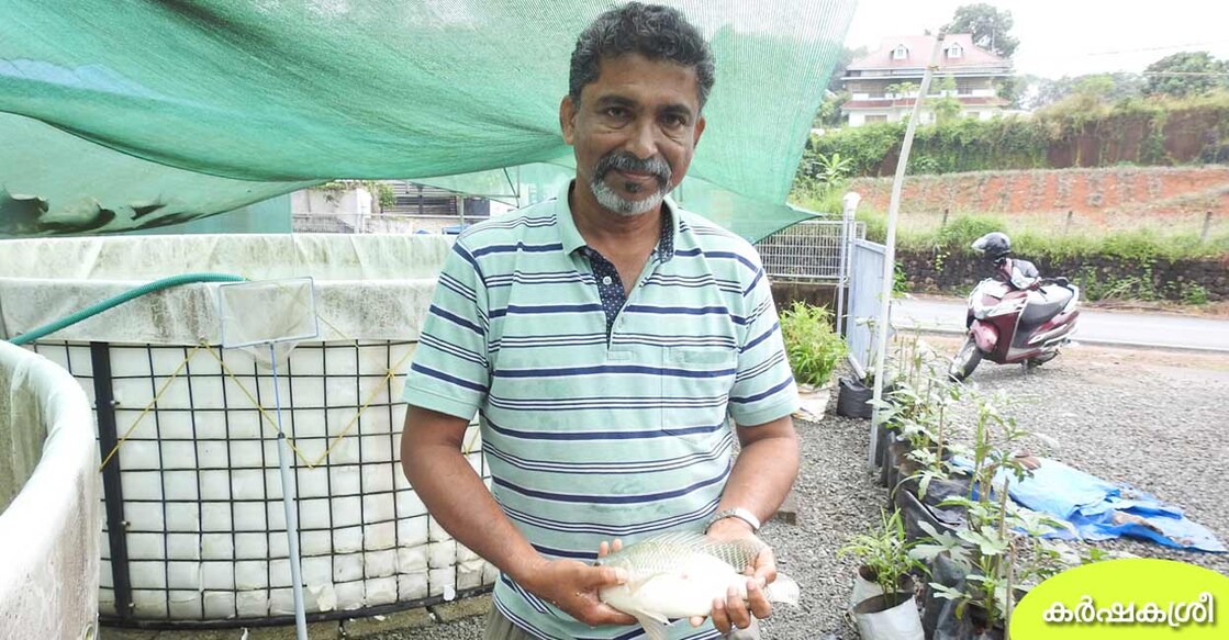 joyal-fish-farm-tdpa joyal-fish-farm-tdpa