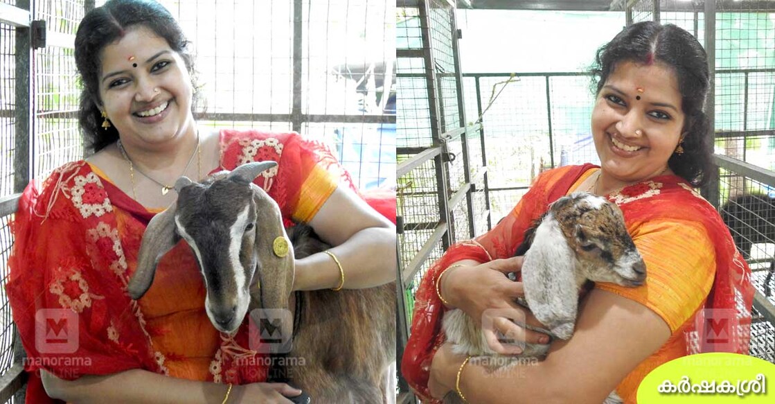 revathy-goat-farmer-1 revathy-goat-farmer-1