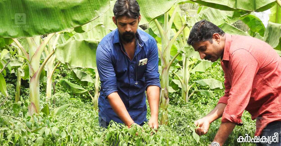 ശ്രീജിത്തും വിവേകും