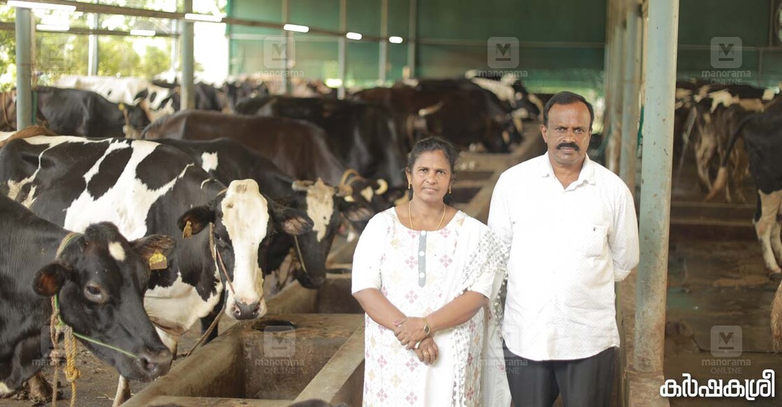 ബിയാട്രീസും ഭർത്താവ് എസ്.കെ.പ്രശാന്ത്കുമാറും ഡെയറി ഫാമിൽ
