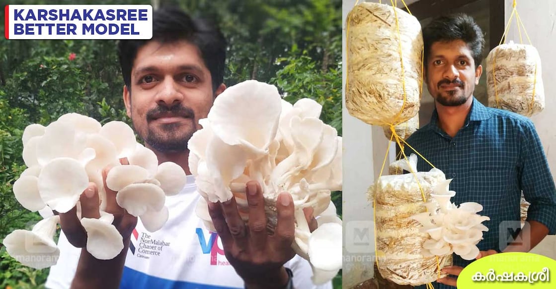 mushroom-rahum mushroom-rahum