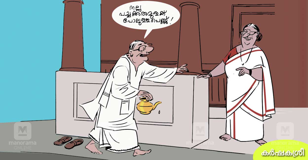 കുരുമുളകിലപോലെ ചെക്കൻ! പച്ചക്കുരുമുളകുപോലുള്ള പെണ്ണ്!‌; ഉപമയിലുണ്ട്