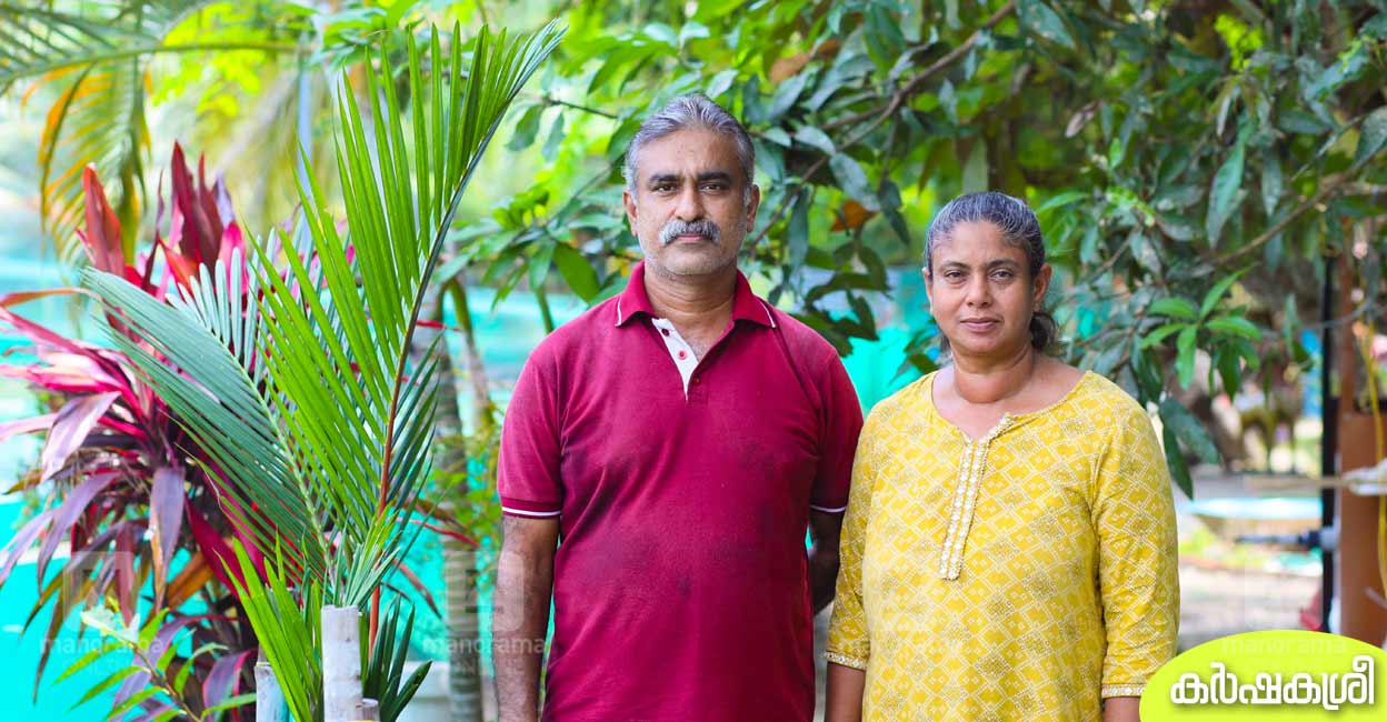 കണ്ടുപഠിക്കാം, കളിച്ചു നടക്കാം, കരിമീൻഫാമിൽ കാഴ്ചയുമേറെ Vaikom Fish