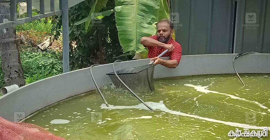 fish-farming-dinu