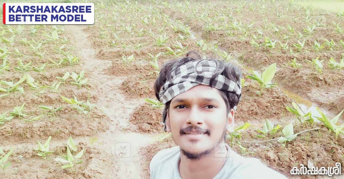 lipin-young-farmer