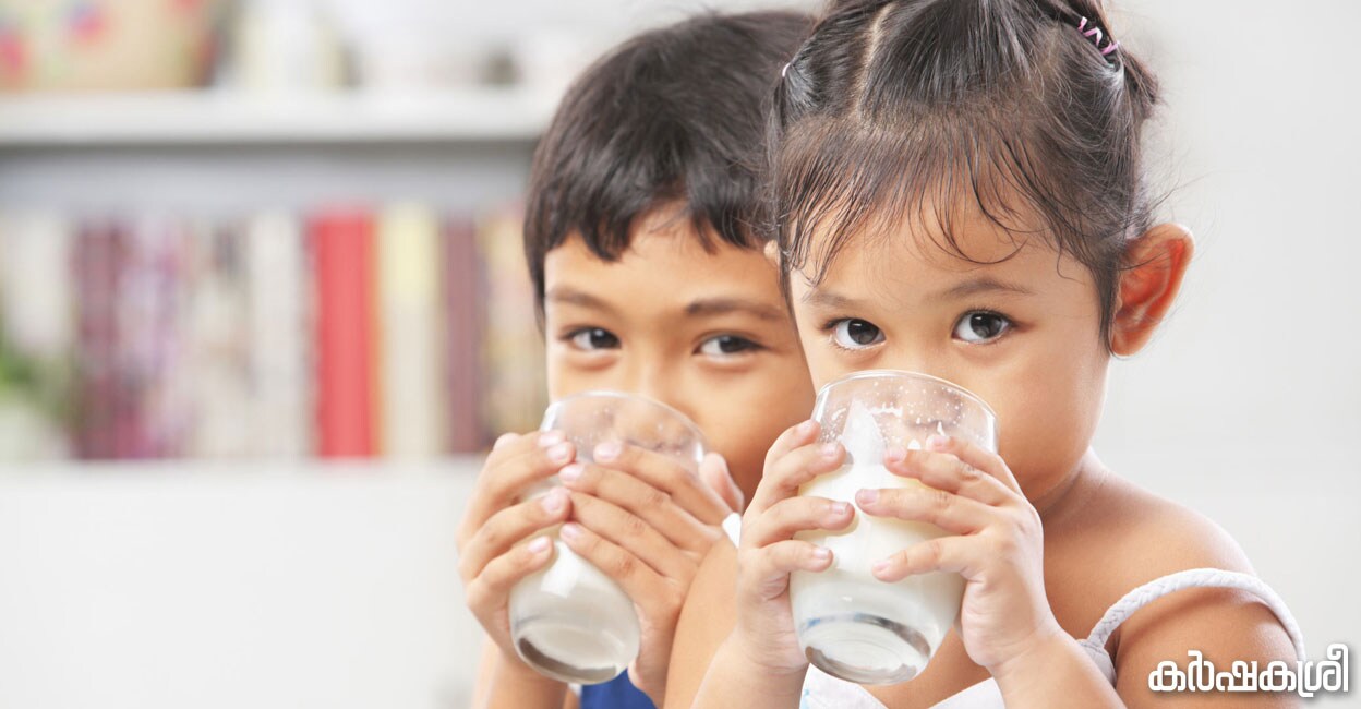 സ്ത്രീയെ ആദ്യമായി സ്വതന്ത്രയാക്കിയത് പശുവിന്റെ പാൽ; മനുഷ്യർ പശുക്കളുടെ