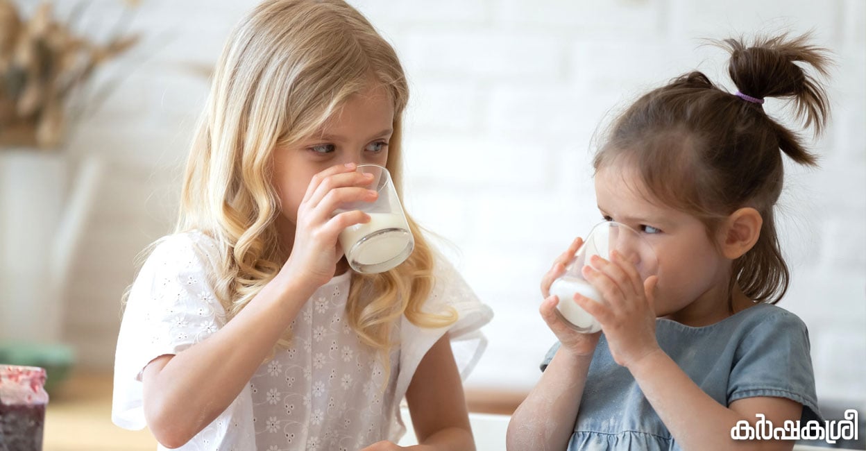 സ്ത്രീയെ ആദ്യമായി സ്വതന്ത്രയാക്കിയത് പശുവിന്റെ പാൽ; മനുഷ്യർ പശുക്കളുടെ