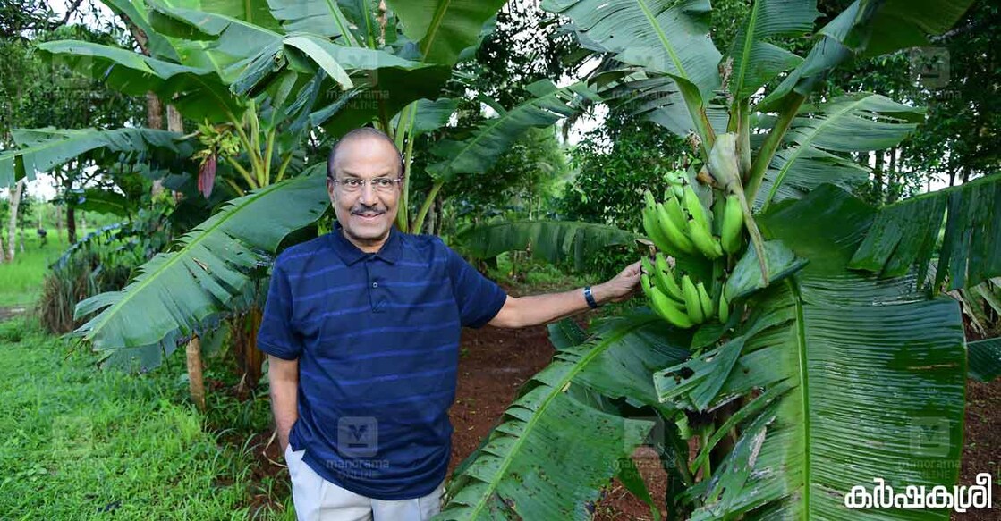 പി.കെ.കുഞ്ഞാലിക്കുട്ടി