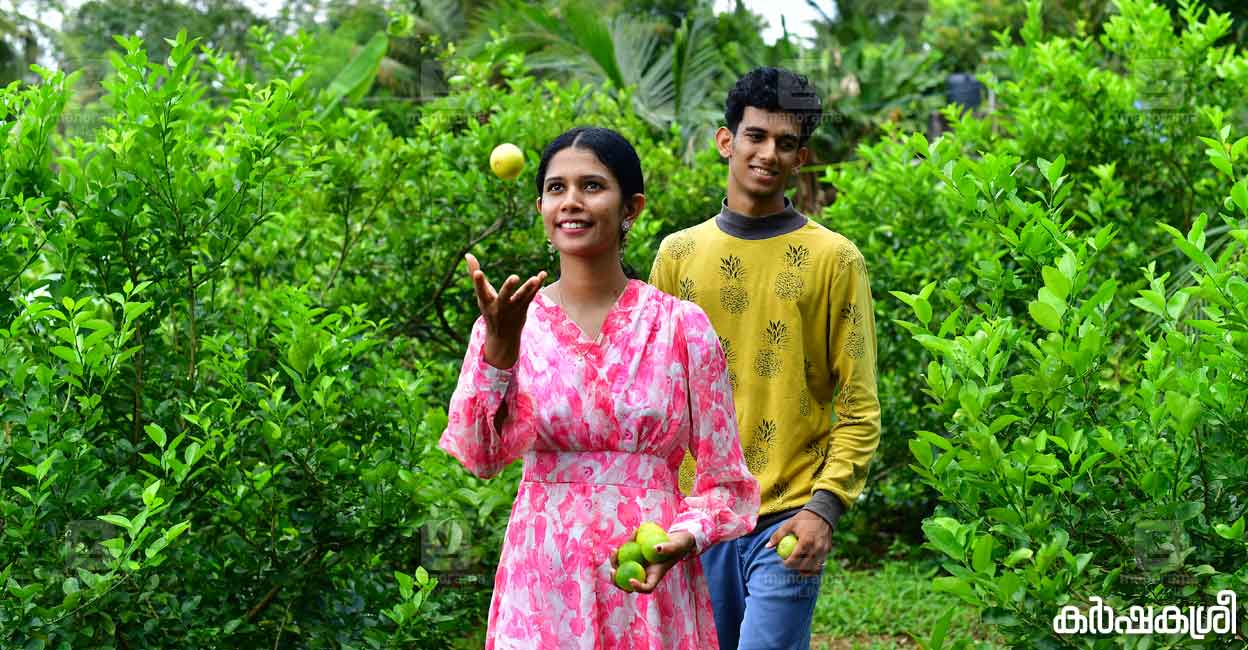 rajan-lemon-2 rajan-lemon-2