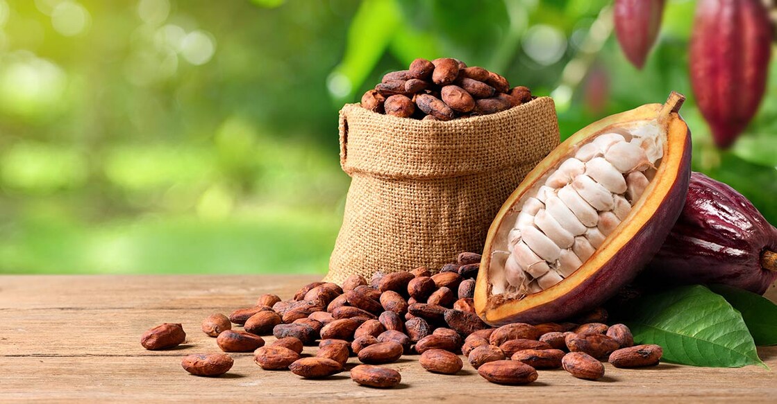 cocoa11 image credit: Photoongraphy/Shutterstock