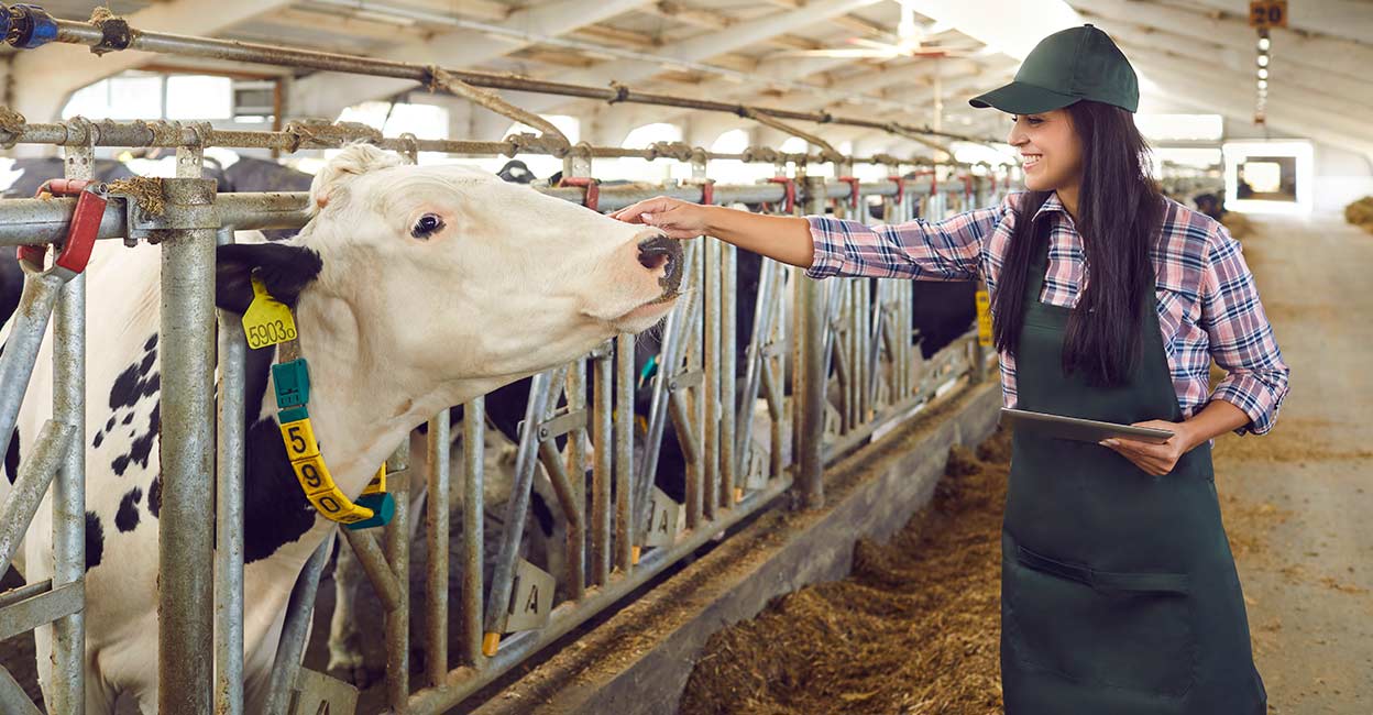 dairy-farm Image credit: Studio Romantic/ShutterStock