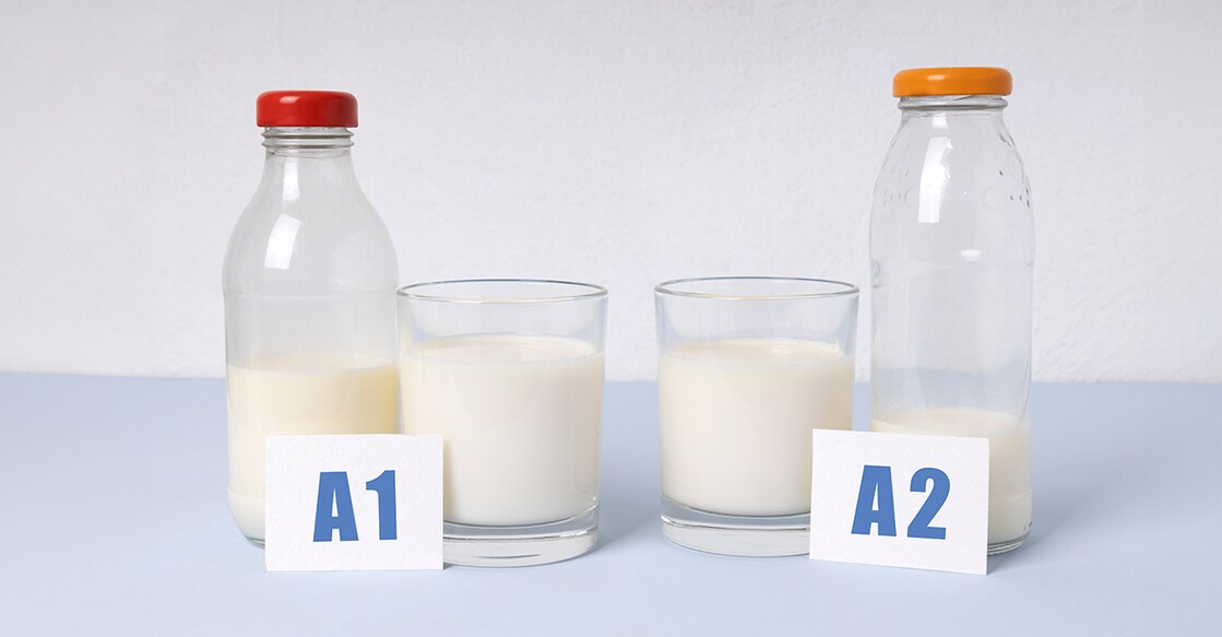 a1-a2-milk