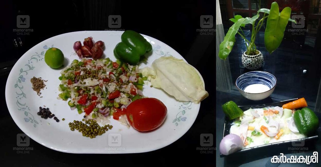 salad-1