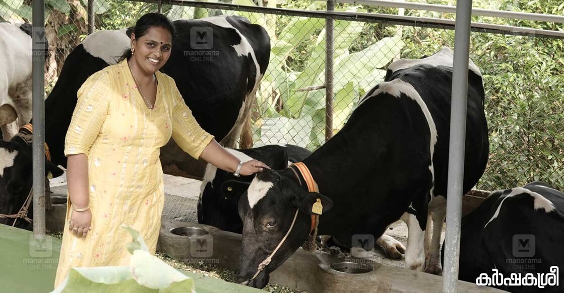 vidhu-parudheesa-dairy-farm-1