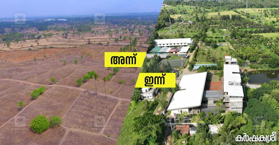 athachi-farm-1 അത്താച്ചി ഫാം അന്നും ഇന്നും