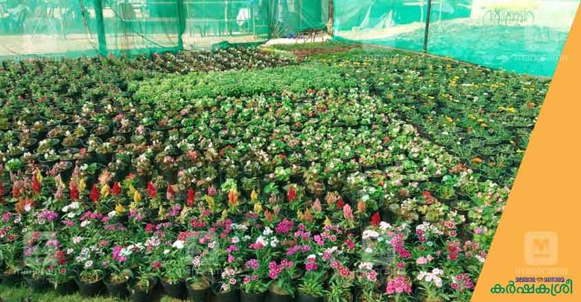 flower-show-ktm-1 flower-show-ktm-1