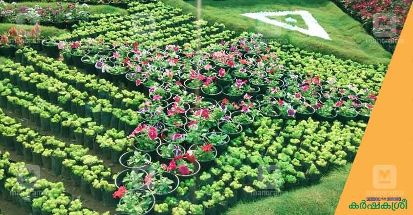 flower-show-ktm-2 flower-show-ktm-2
