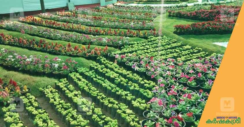 flower-show-ktm-3 flower-show-ktm-3