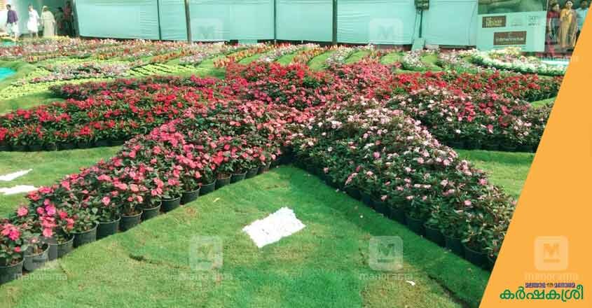 flower-show-ktm-5 flower-show-ktm-5