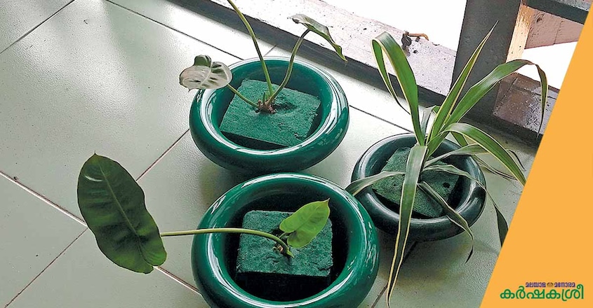 gardening-1 gardening-1