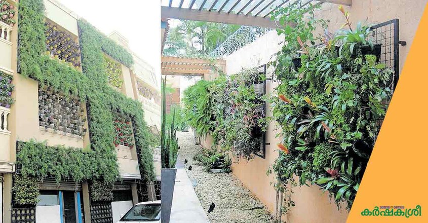 vertical-garden-1 vertical-garden-1