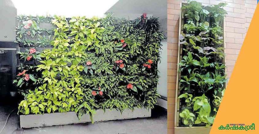 vertical-garden-3 vertical-garden-3