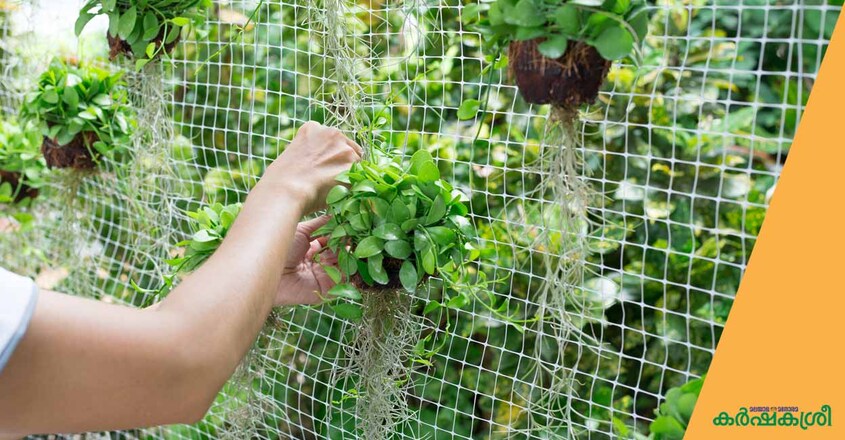 vertical-garden-7 vertical-garden-7