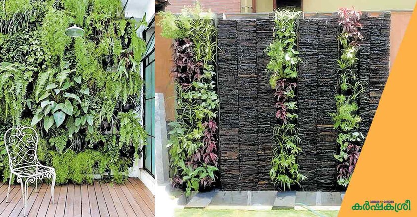 vertical-garden vertical-garden