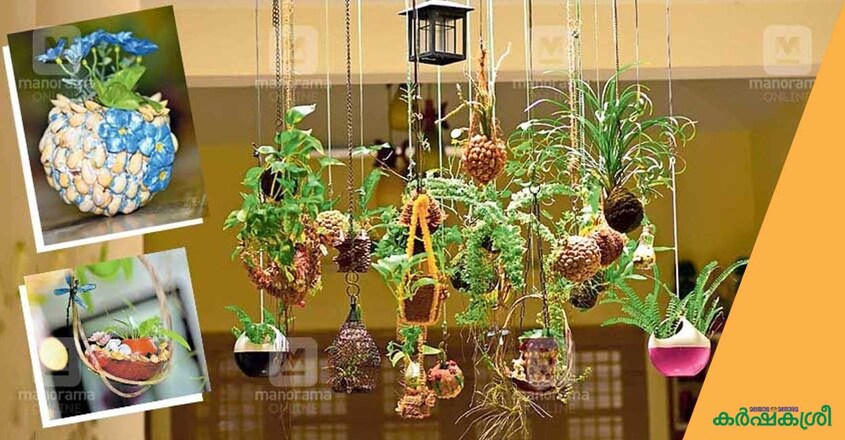 kokedama-2 kokedama-2