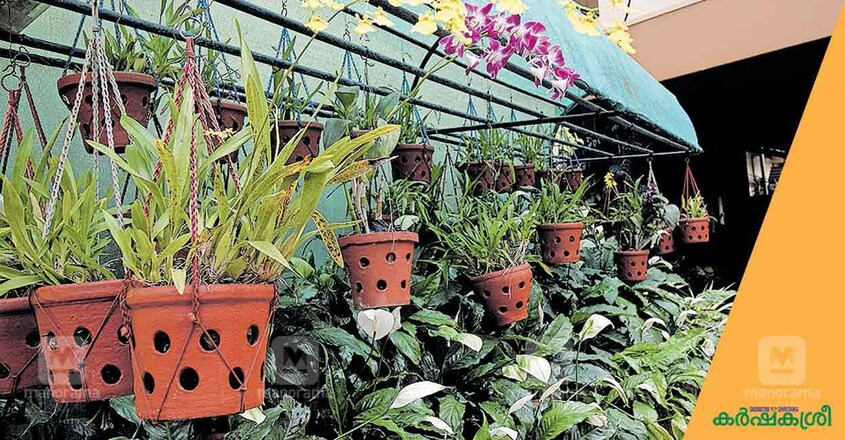 home-garden-10 home-garden-10