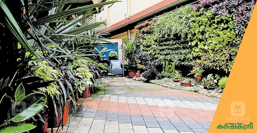 home-garden-rinku-3 home-garden-rinku-3