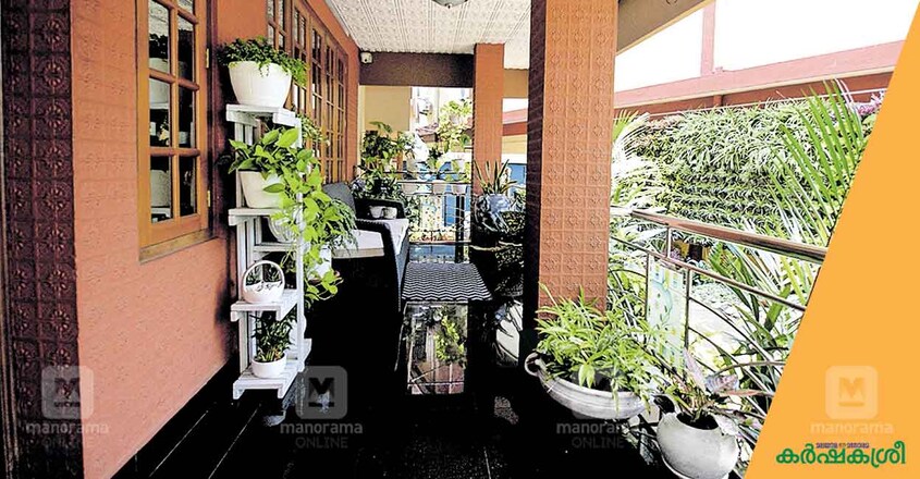 home-garden-rinku-5 home-garden-rinku-5