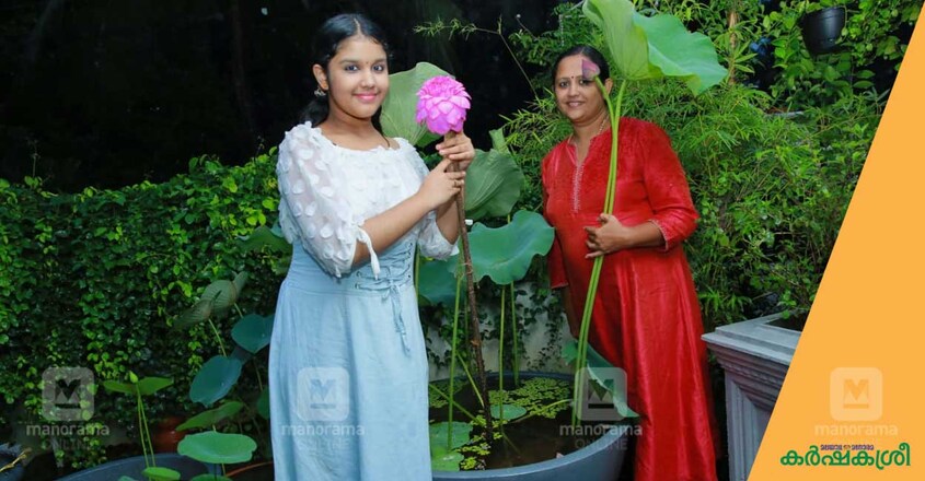 lotus-2 lotus-2