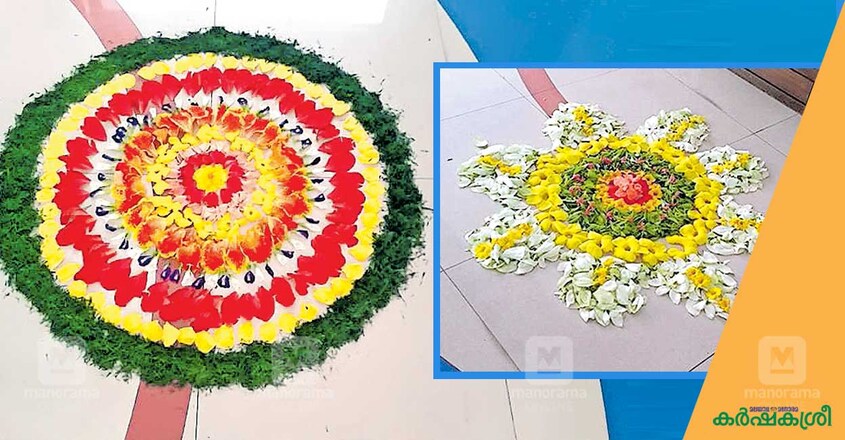 pookkalam-2 pookkalam-2