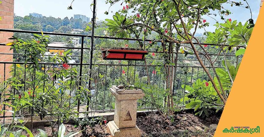 sky-garden-2 sky-garden-2