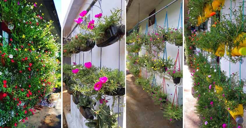 garden garden