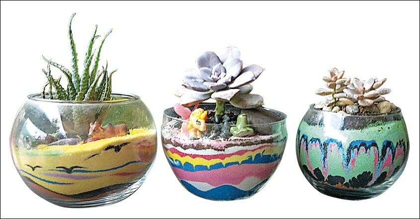 dish-garden13 dish-garden13