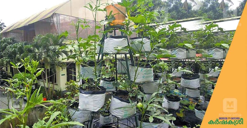 vertical-farming-6 vertical-farming-6