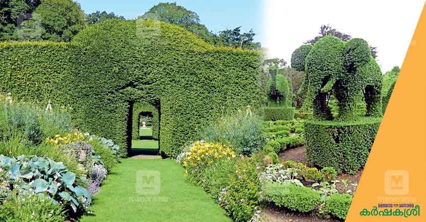 garden-2 garden-2
