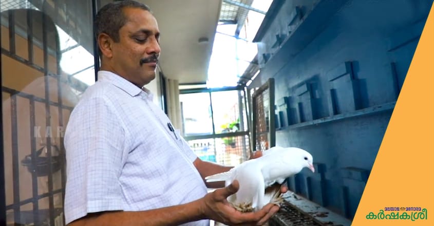 dr-sunil dr-sunil