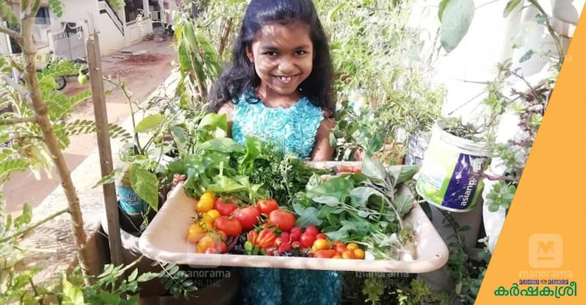 banglore-home-garden-1 banglore-home-garden-1