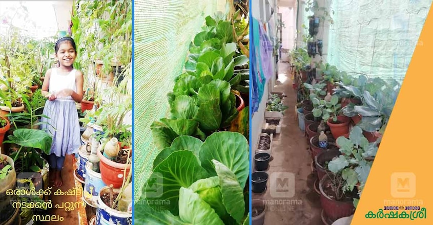 banglore-home-garden-2 banglore-home-garden-2